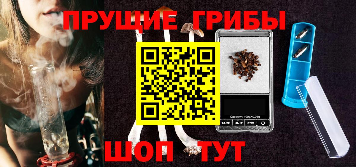 Псилоцибиновые грибы Psilocybe Когалым